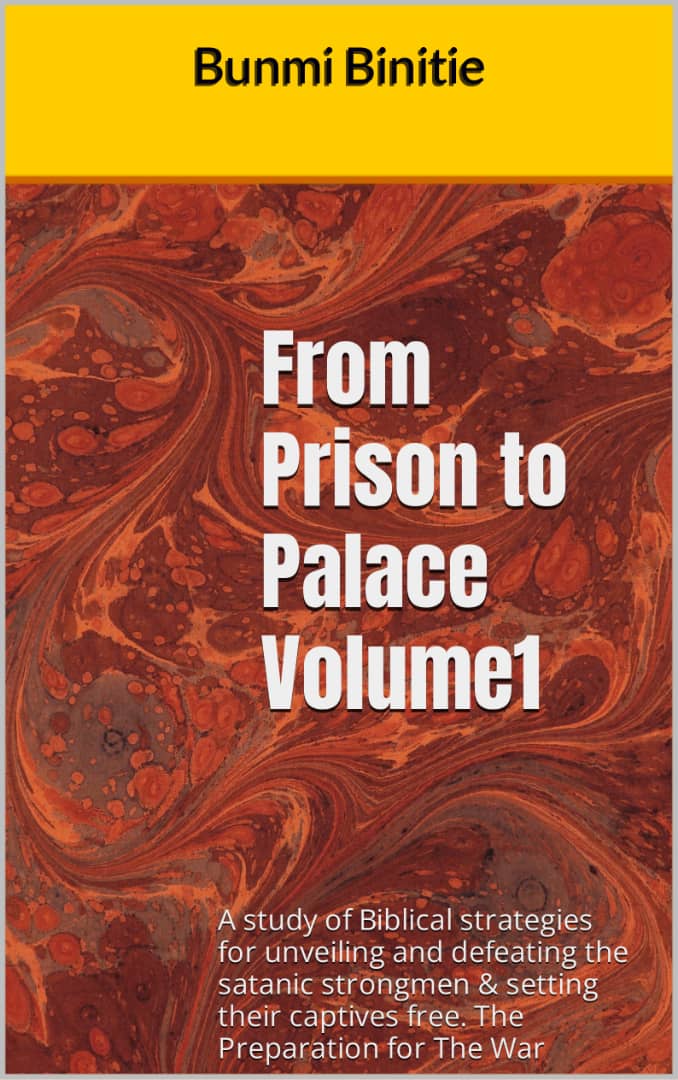 From Prison to Palace Volume 1