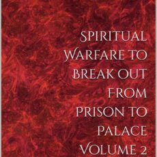 Spiritual Warfare to break out from prison to Palace Volume 2