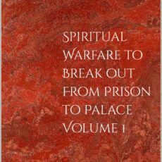 Spiritual Warfare to break out from prison to Palace Volume1